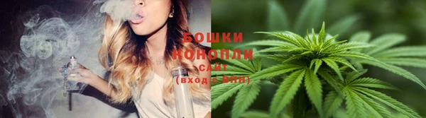 mix Богородицк